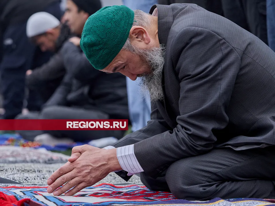 Фото: REGIONS/Дмитрий Белицкий