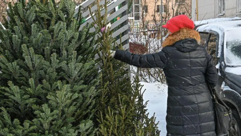 Евгений Одиноков/РИА Новости