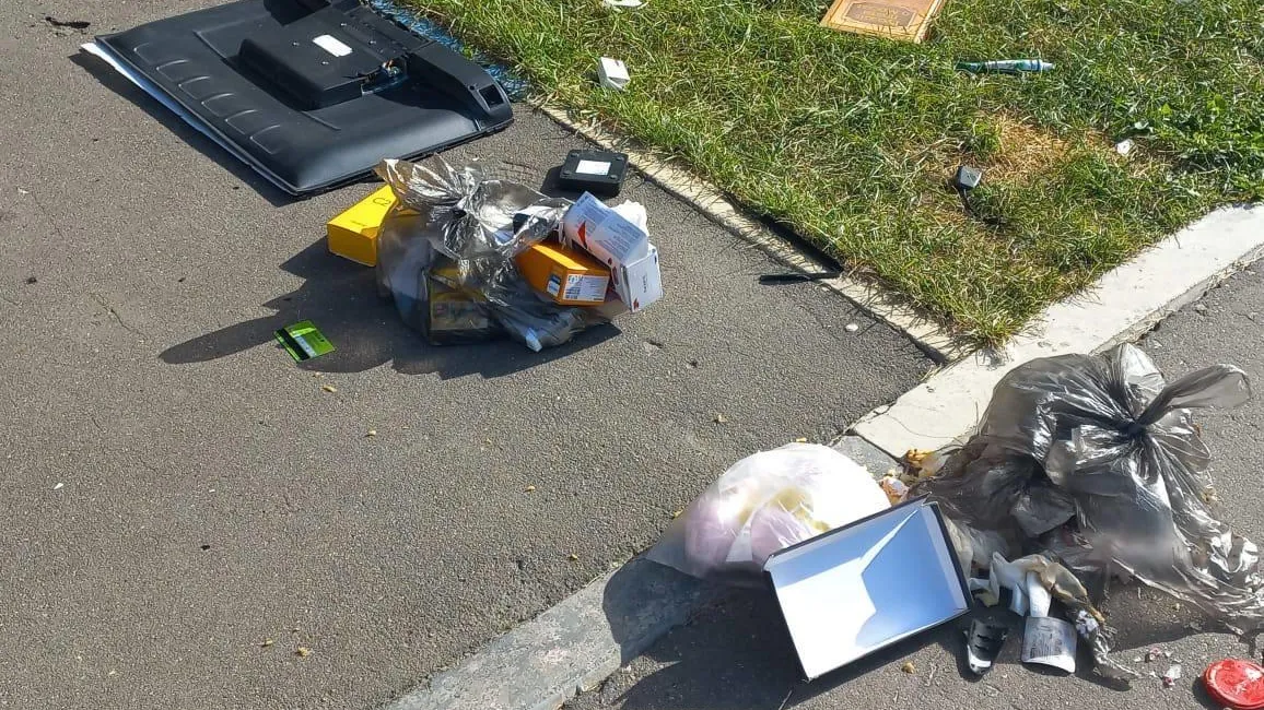 Фото: Подмосковье Сегодня