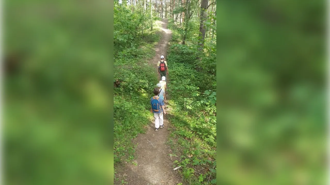 Фото: vk.com/Парки Домодедова