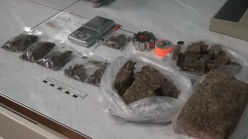 Полкило травки и героин нашли в коммуналке в Королеве