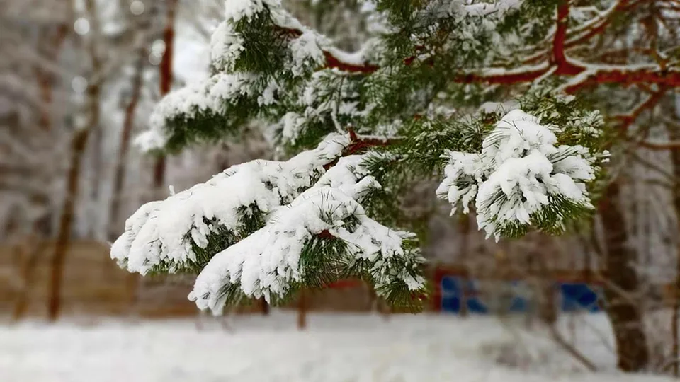 Фото: REGIONS/Алексей Селиверстов