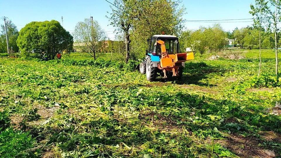 Фото: Пресс-служба администрации городского округа Истра