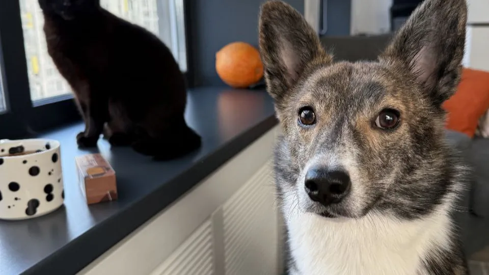 Фото: Екатерина Соколова