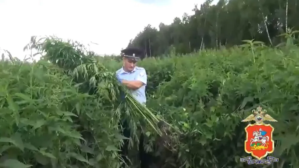 © пресс-служба ГУ МВД России по Московской области.