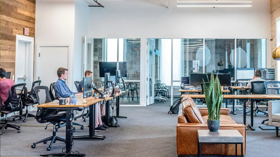 Фото: unsplash.com