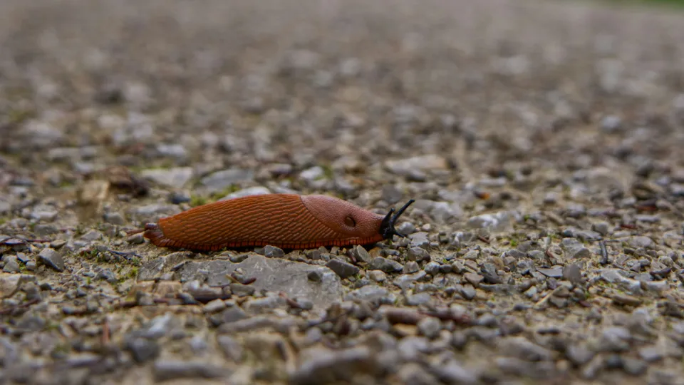 Фото: unsplash.com