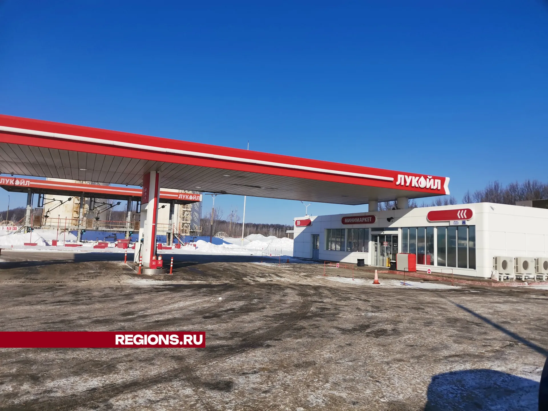 Дарья Кургузова