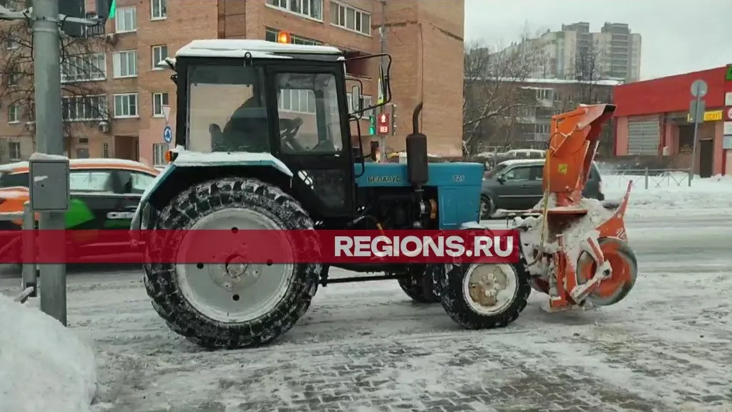 Фото: Роман Яковлев