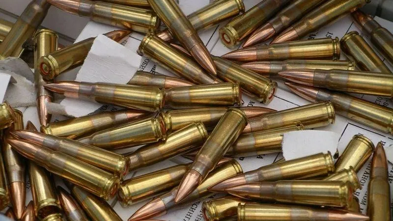 Мужчину в Хотьково задержали за хранение боеприпасов
