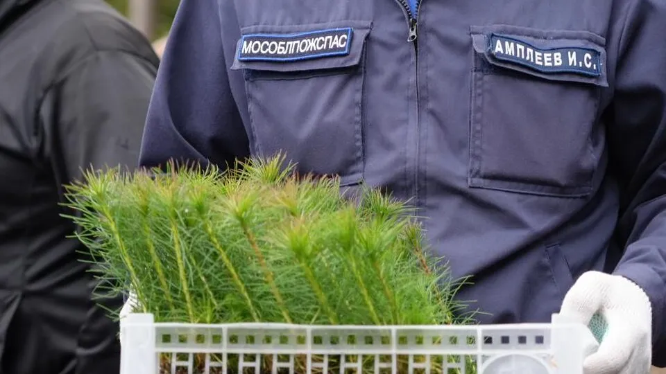 Фото: ГКУ МО «Мособлпожспас»