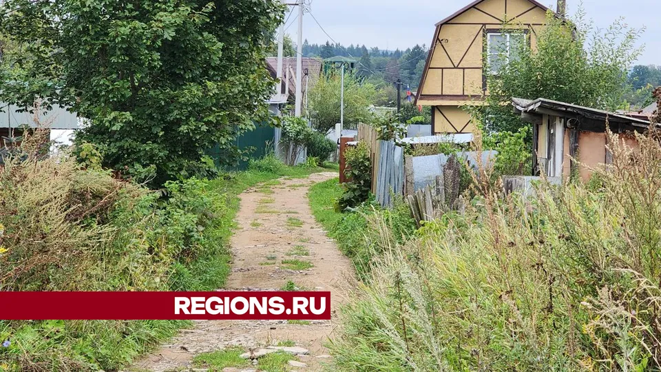 Фото: Хавива Фонина