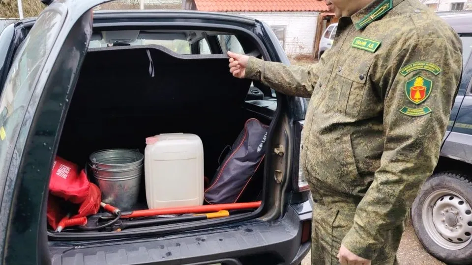 Фото: Комитет лесного хозяйства Московской области