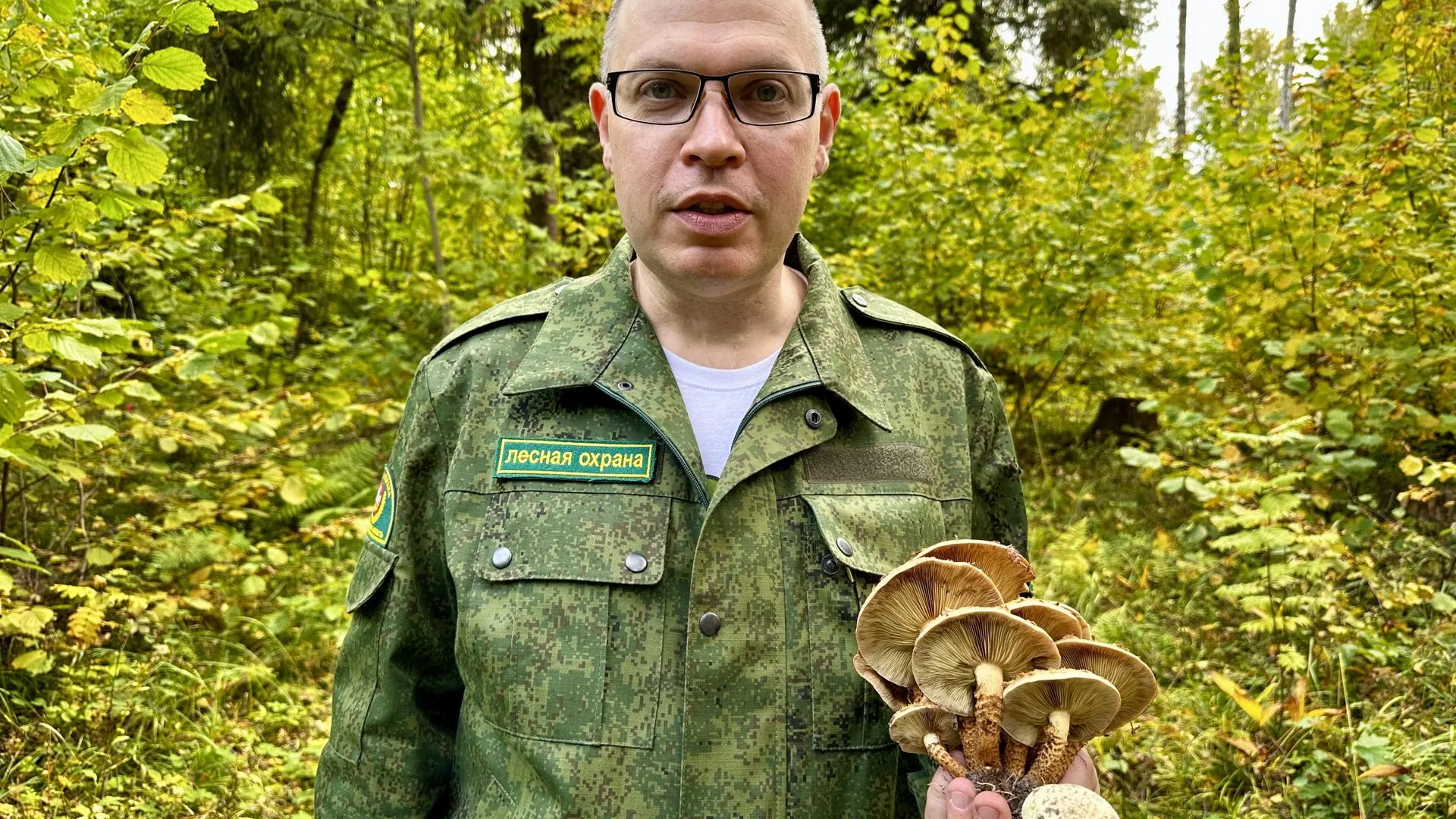 Данила Кирьянов