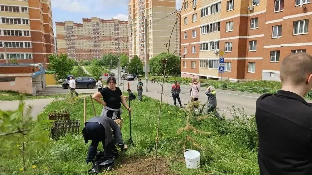 Картинка