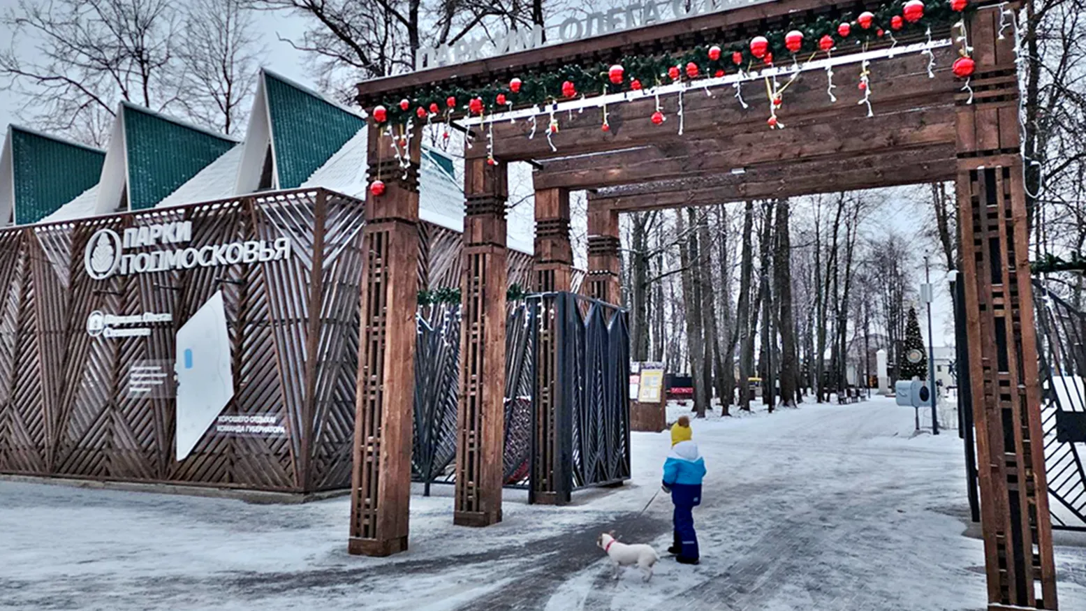 Фото: REGIONS/Александр Степушкин