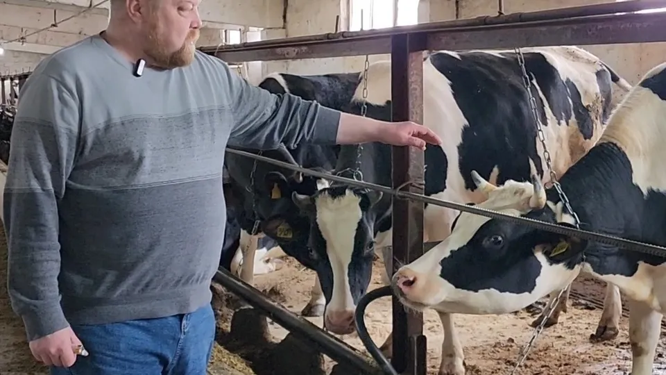 Фото: Ольга Антонова