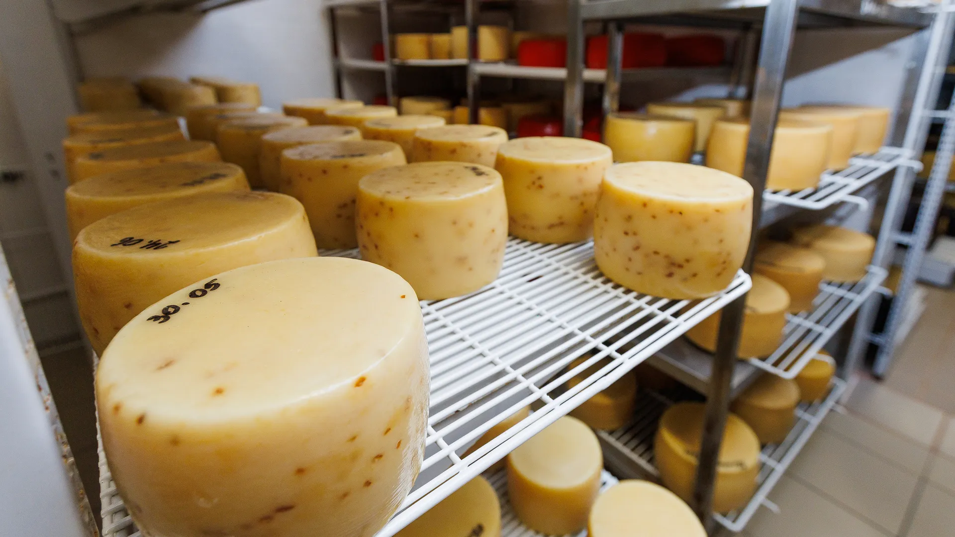 Гастроэнтеролог рассказала, кому нельзя есть сыр