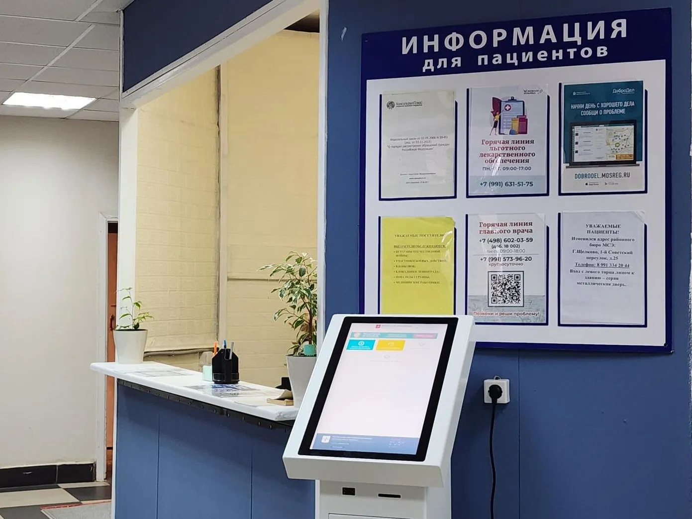 Фото: REGIONS/Валерия Тингаева