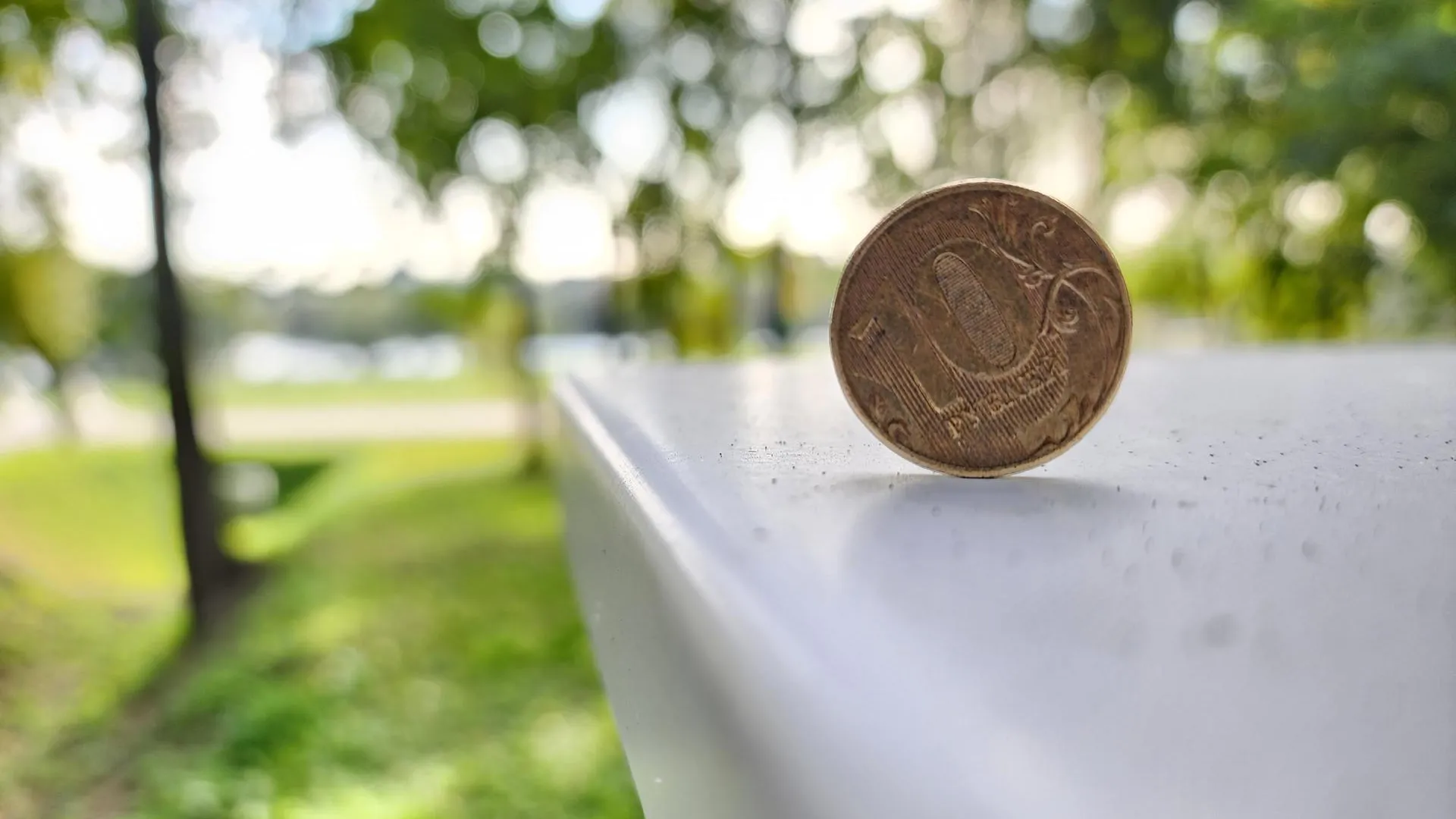 Светлана Плотникова