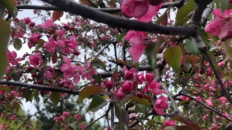 Фото: REGIONS/Дарья Назарова