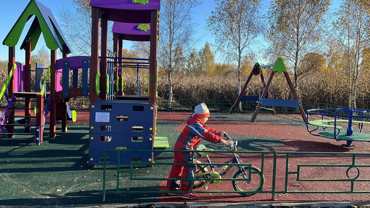 В селе Волоколамского округа по просьбе жителей установили детскую площадку