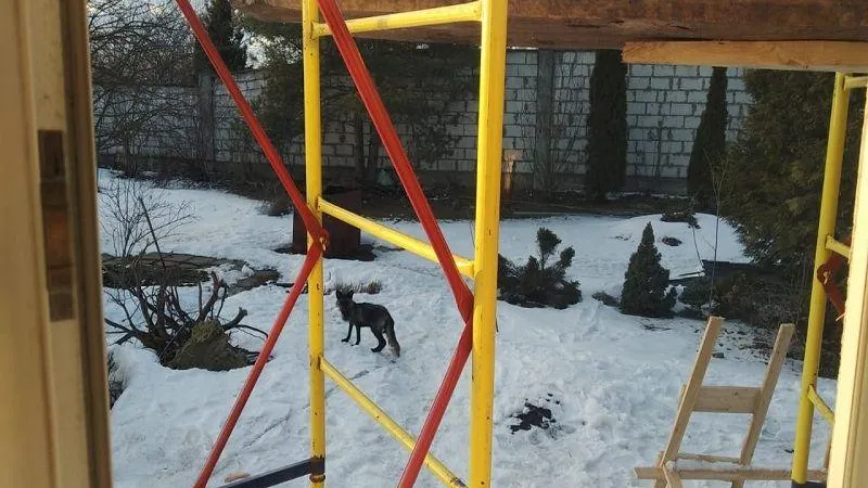 Подслушано Звенигород / ВКонтакте