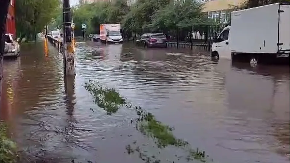 Фото: t.me/podolsk24life