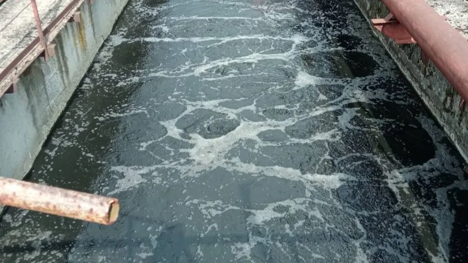 Фото: Администрация г.о. Чехов