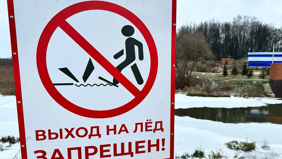 Фото: МедиаБанк Подмосковья/Лилия Закирова