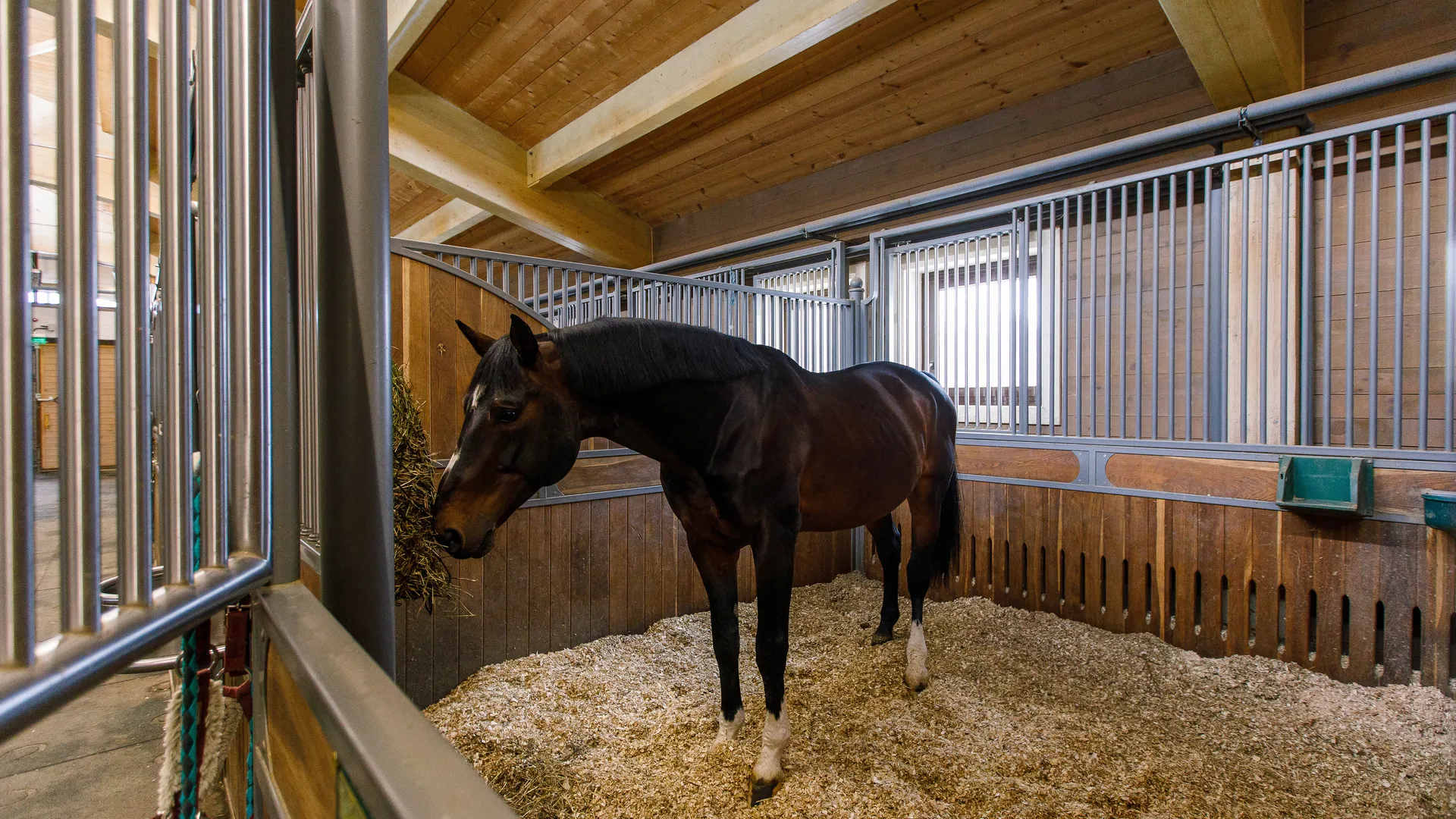 медиасток.рф