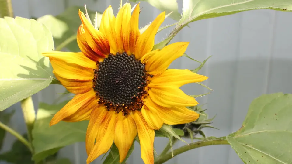 Фото: REGIONS/Илья Попов