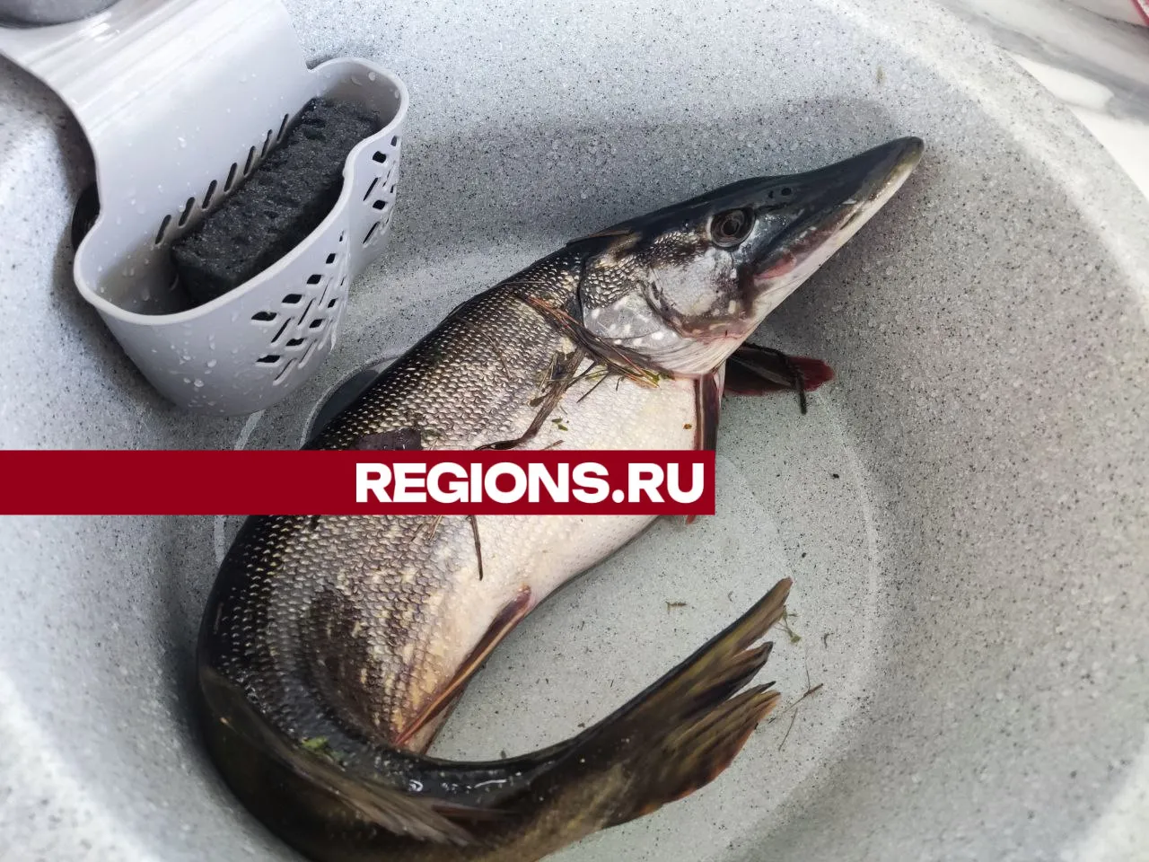 Фото: Екатерина Белякова