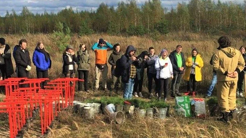 Пресс-служба Комитета лесного хозяйства Московской области