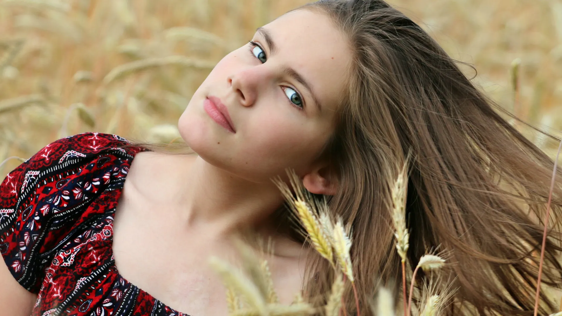 Фото: pxhere.com