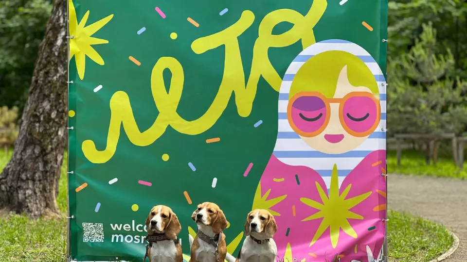 Фото: пресс-служба администрации Ленинского г.о.