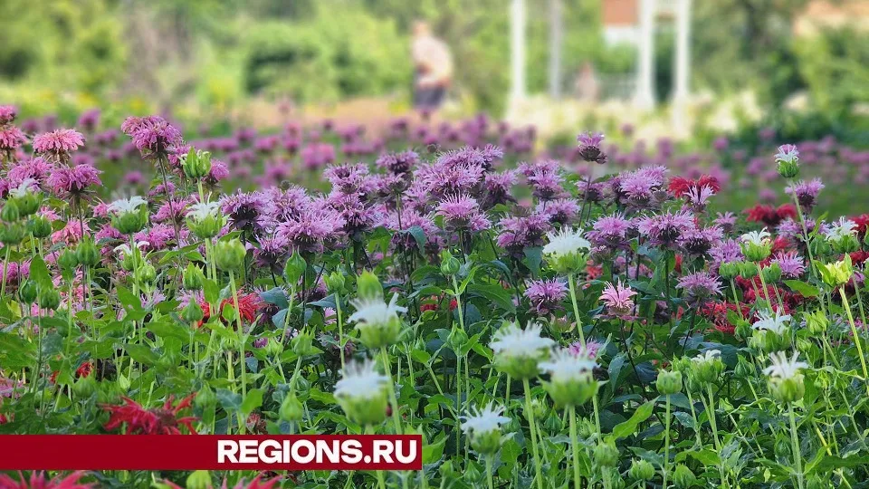 Фото: Светлана Плотникова