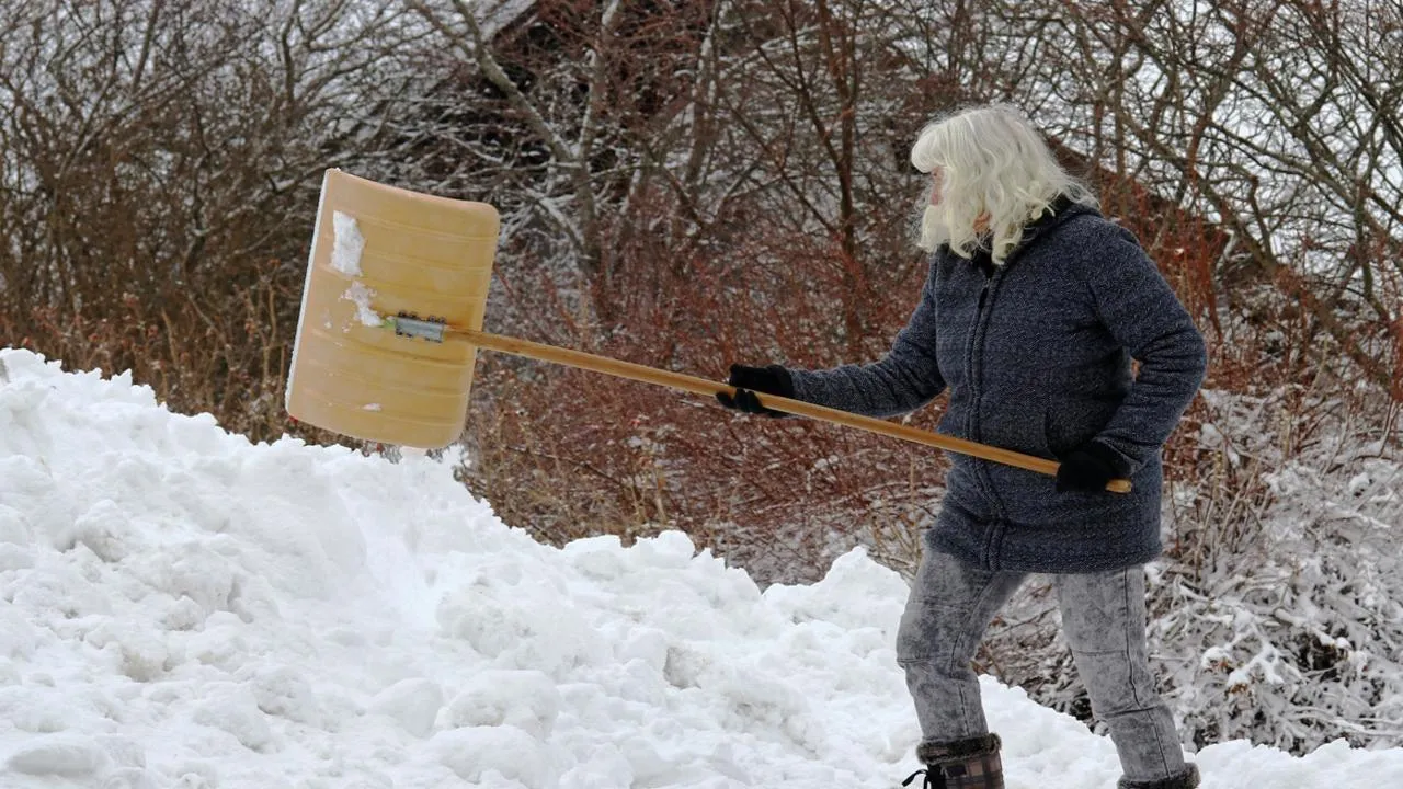 «Молча вышли и навели порядок»: боевые бабушки с лопатами разгромили сугробы в Электростали
