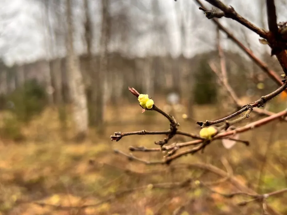 Фото: пресс-служба национального парка «Лосиный остров»/Анна Ткачева