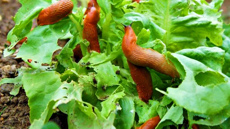 Фото: istockphoto.com