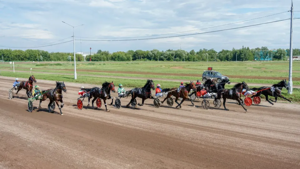 Фото: медиасток.рф