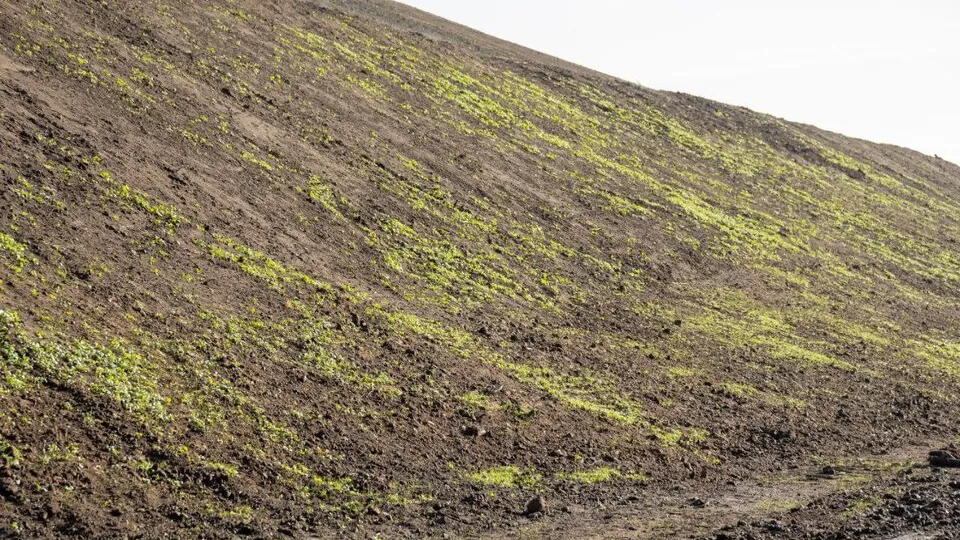 Фото: пресс-служба администрации Орехово-Зуевского округа