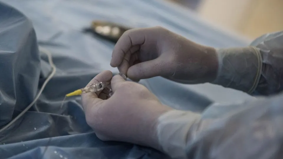 Фото: Медиаархив Подмосковья