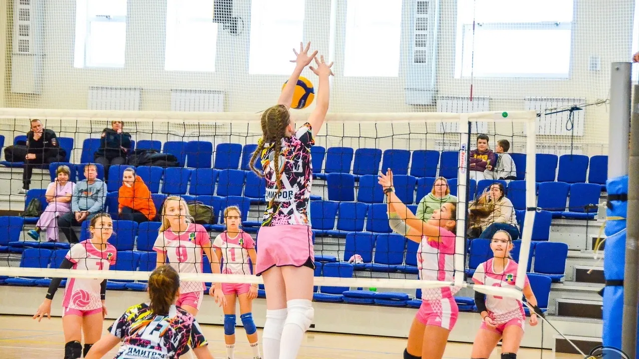 Московская областная Федерация волейбола