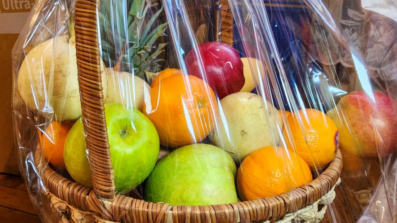 REGIONS/Мария Андрюхина