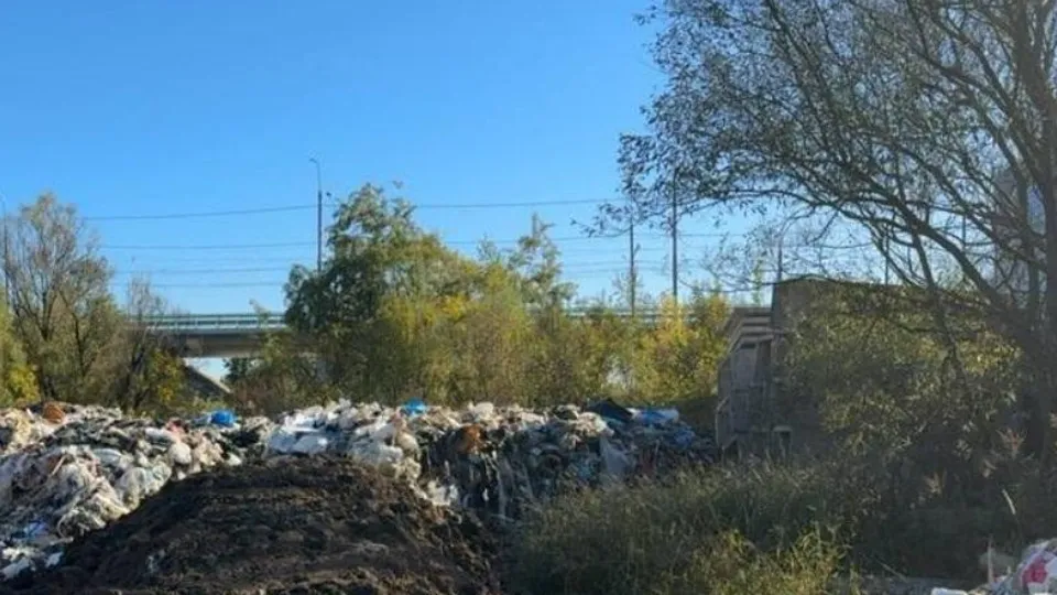 Фото: Минэкологии МО