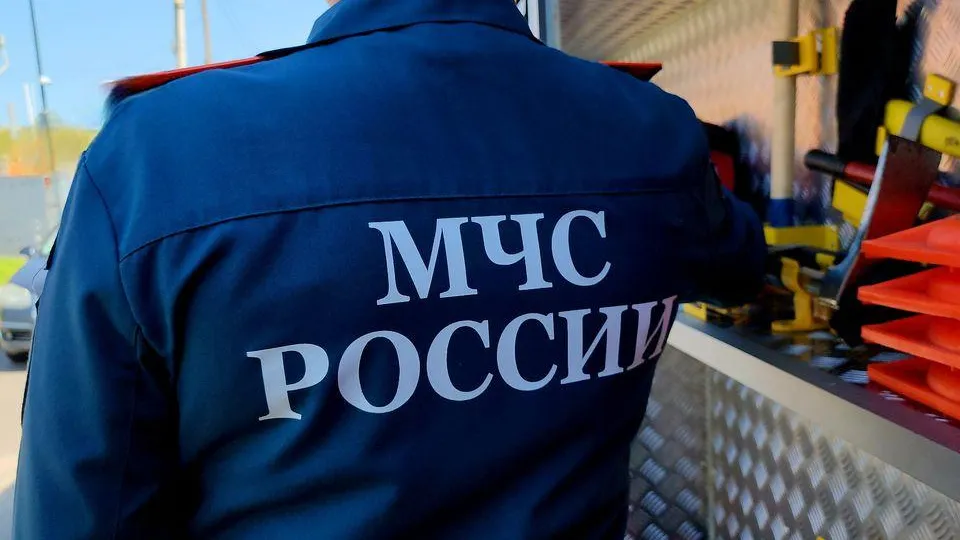 МедиаБанк Подмосковья/Александр Степушкин