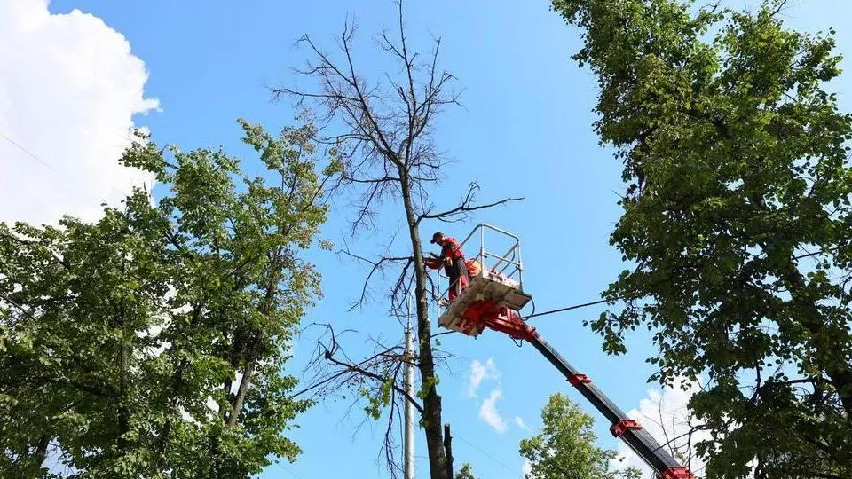 Фото: пресс-служба администрации г.о. Мытищи