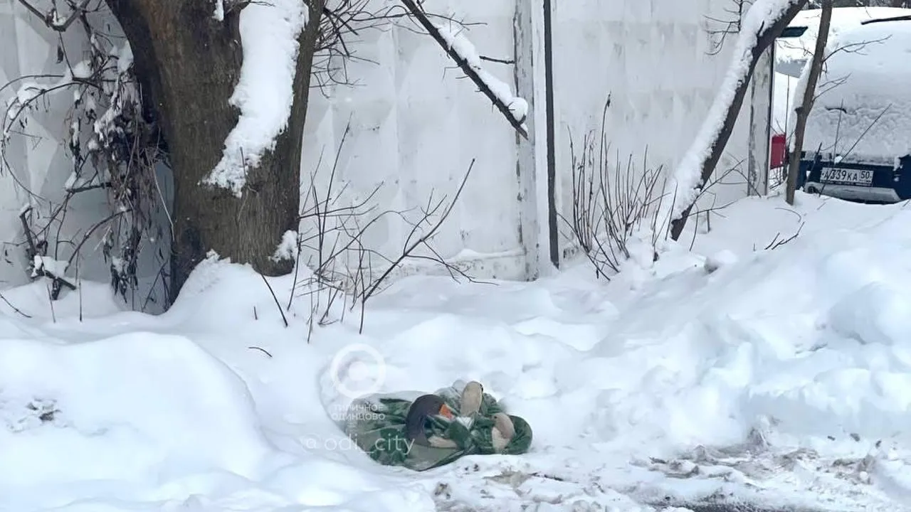 фото:Telegram-канал "Типичное Одинцово"