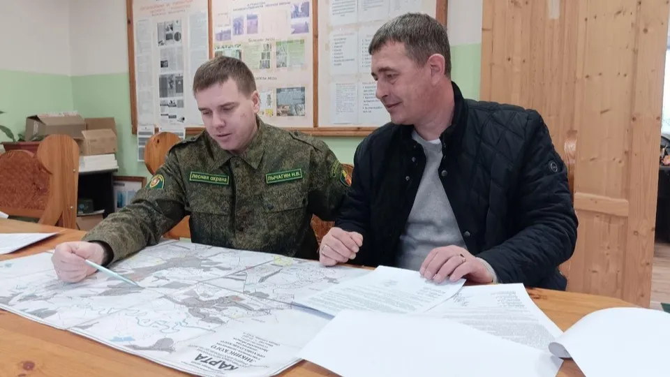 Фото: Орехово-Зуевский филиал ГАУ МО «Мособллес»